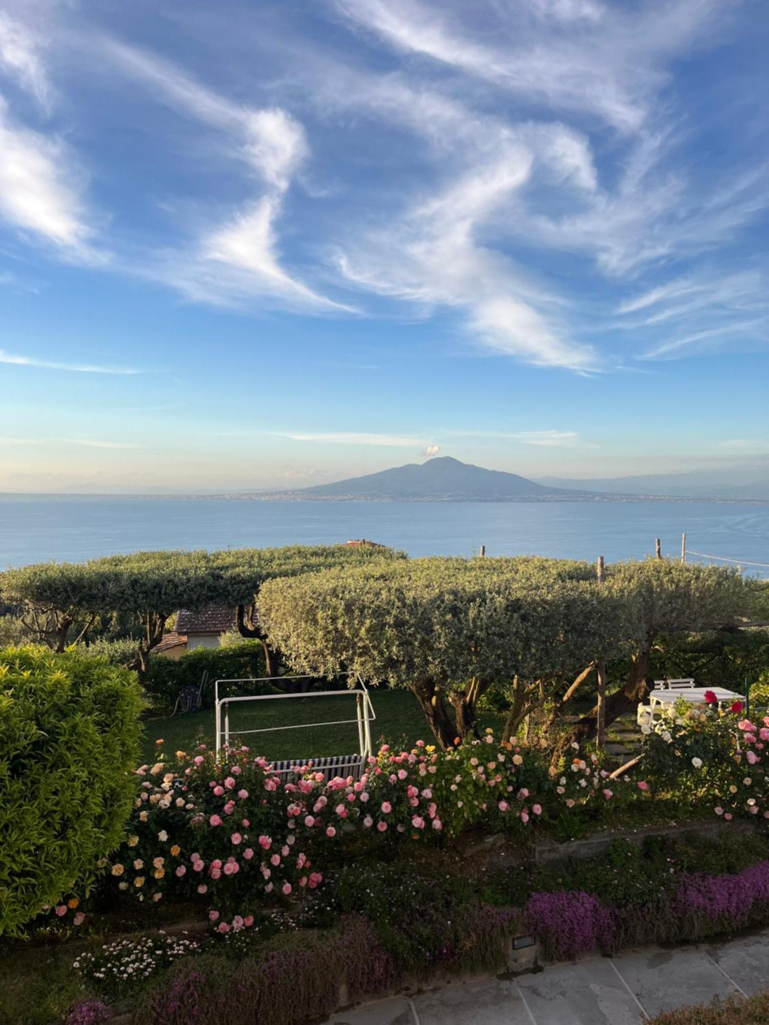 Sorrento Garden 호텔 외부 사진