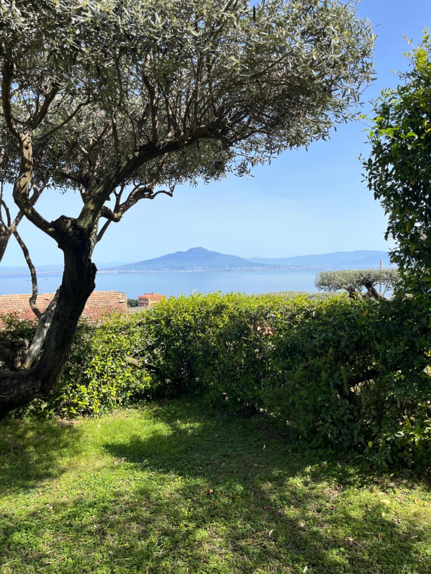 Sorrento Garden 호텔 외부 사진