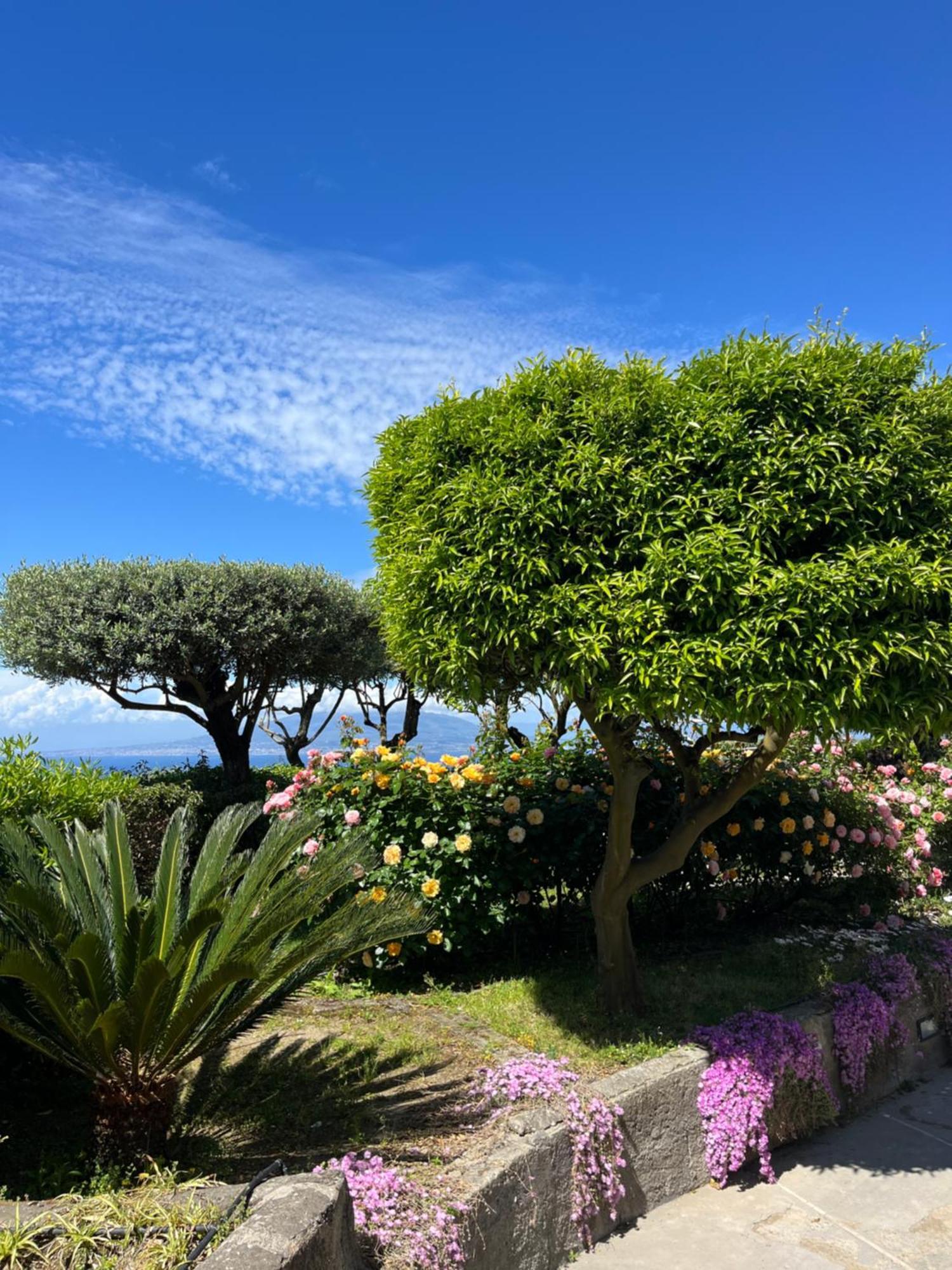 Sorrento Garden 호텔 외부 사진