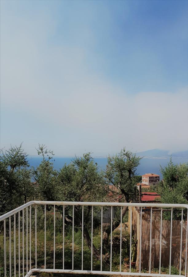 Sorrento Garden 호텔 외부 사진