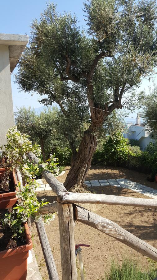 Sorrento Garden 호텔 외부 사진